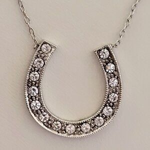 Good Luck Horseshoe CZ Faceted Stone Necklace Silver Tone ML2 Tag 17"